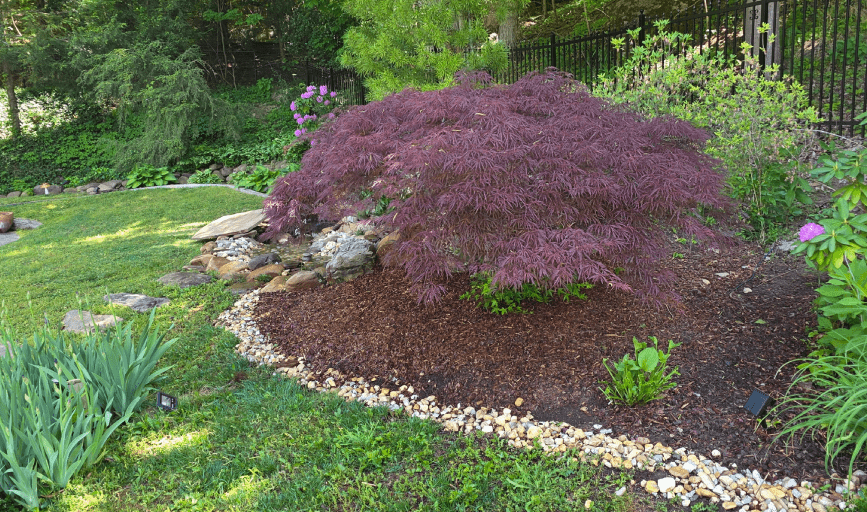 Retaining Walls & Seating Walls